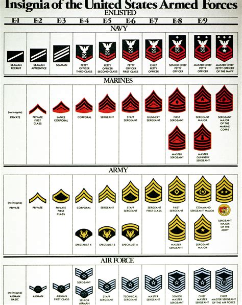 us military rank chart printable.